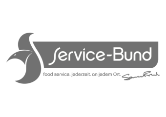 Logo MERVE Team