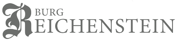 Logo MERVE Team