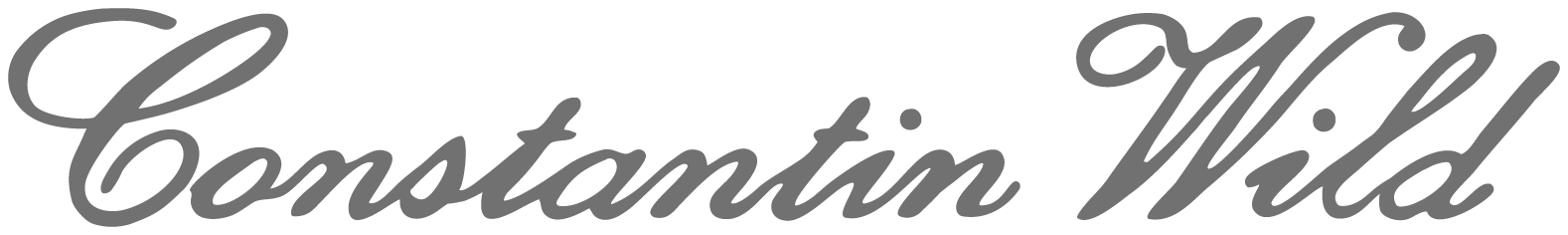 Logo MERVE Team